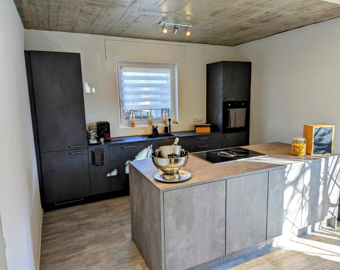 Ferienwohnung Hegau Bodensee Rielasingen-Worblingen Εξωτερικό φωτογραφία